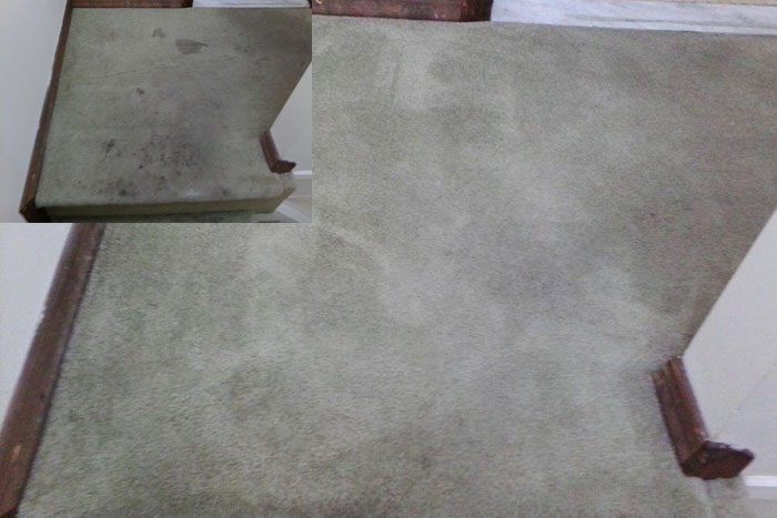 Carpet Cleaning- Before & After